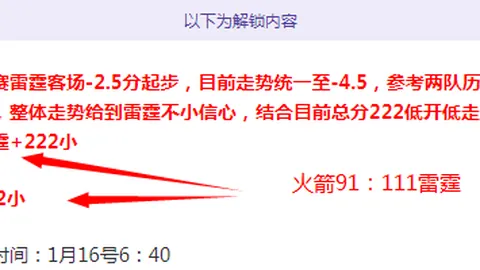【激战复仇】独行侠能否逆袭夺冠，重振雄风？