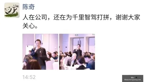 海南椰岛面临立案在线娱乐：2026年财报问题引发监管层高度关注